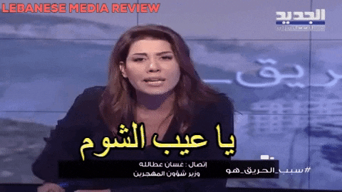 بولا يعقوبيان وغسان عطالله - Lebanese Media Review